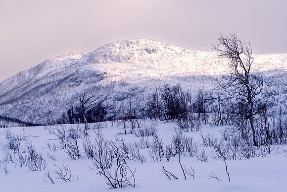 Lyngen Alps IV
