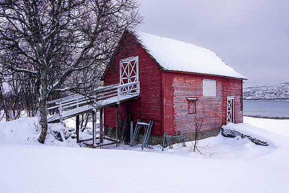 Red Hut II