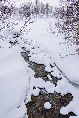 Frozen Stream