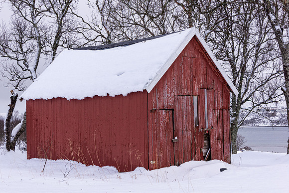 Red Hut I