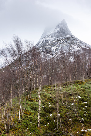 Kjopsvik