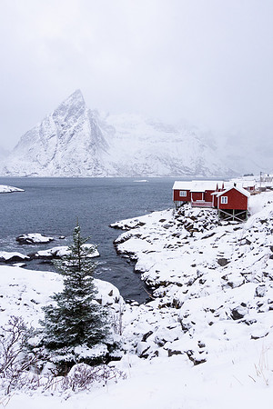 Rorbuer, Hamnoy