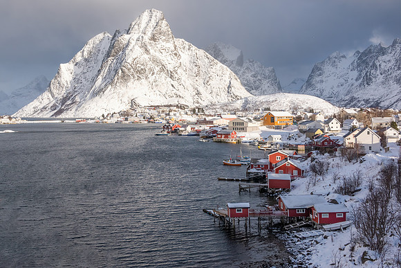 Reine