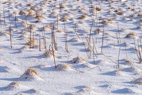 Snow humps