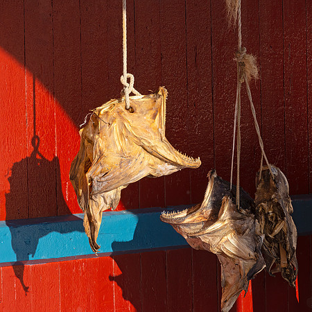 Dried fish in A