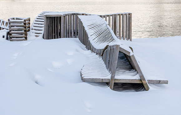 Wood in the Snow