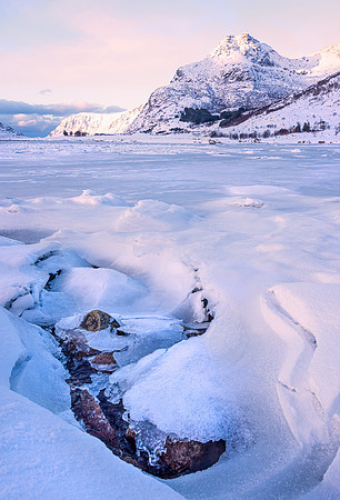 Frozen Dawn