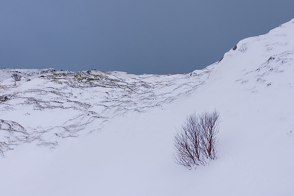 Solitary