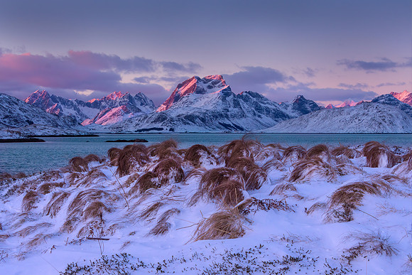 Hovdan Dawn