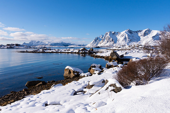 Winter sunshine