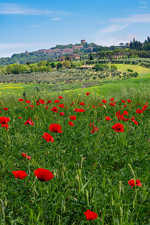 Montisi