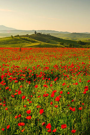Castiglione d'Orcia II