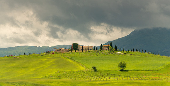 Tuscan scene