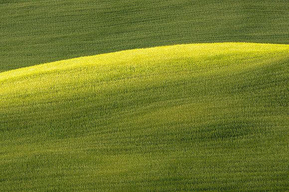 Light on the hills