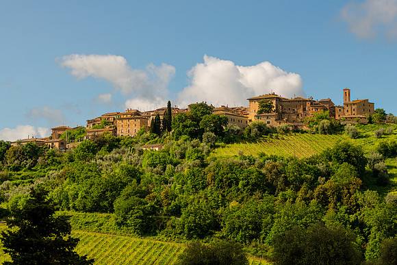 Montalcino I
