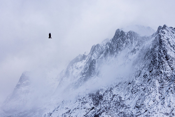 Lofoten Mountains