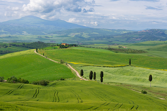 Podere Terrapile