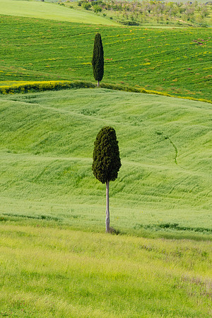Cypress Stack