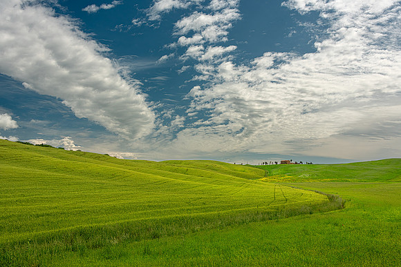 Bolod Skies II