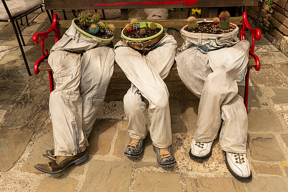 Cactus Pot Men