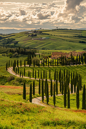 Baccoleno II