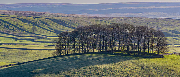 Wensleydale