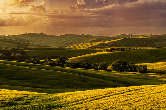 Light on the Land