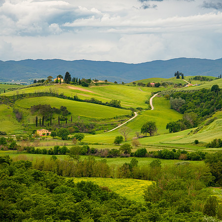 Tuscan Dream