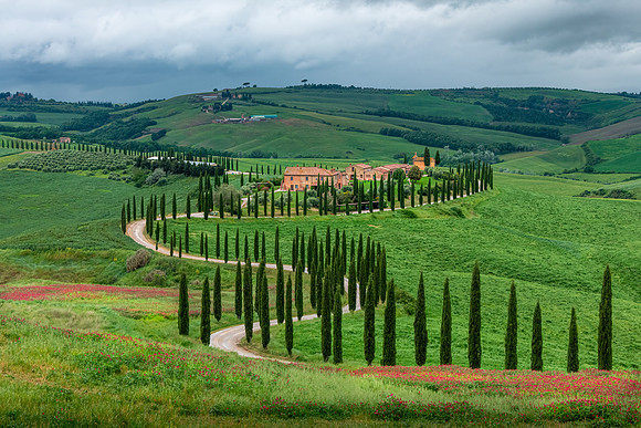 Baccoleno