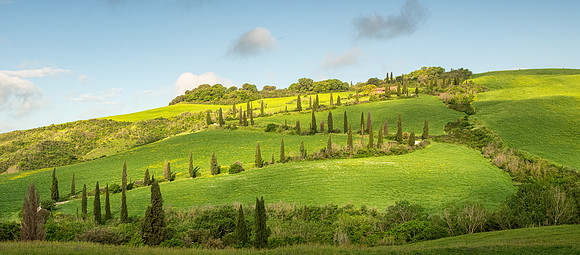 La Foce View