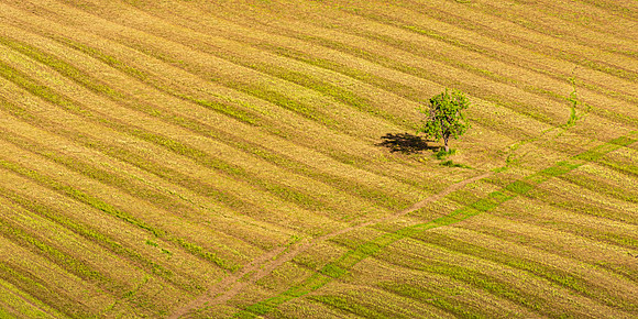 Farm Sentry II
