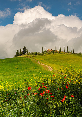 Quintessential Tuscany