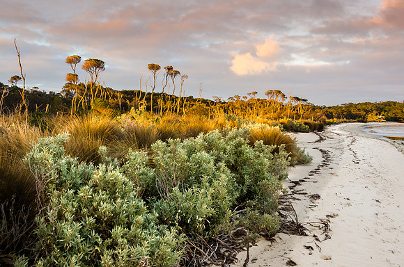 Image by Rob Grant