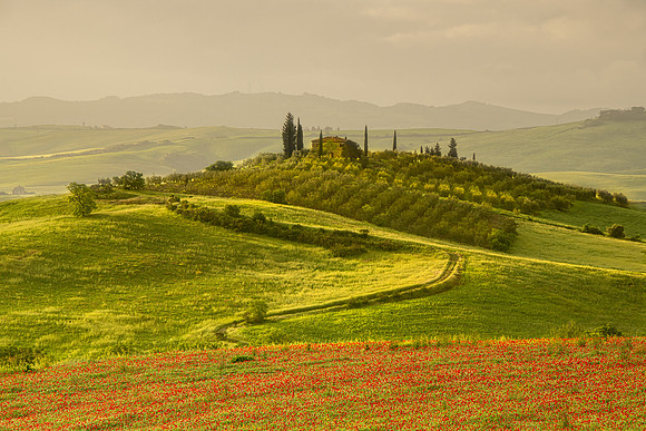 Light on the Tuscan Villa