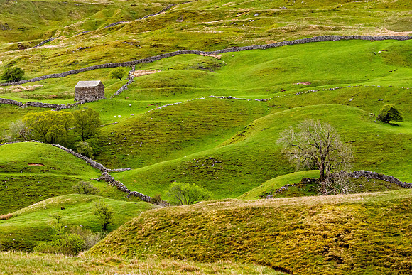 Swaledale 2, Yorkshire Dales
