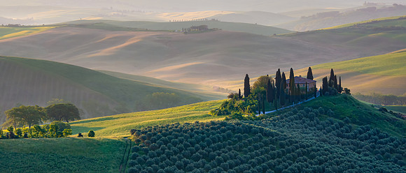 Dawn on the Belvedere