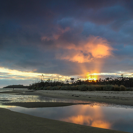 Image by Carolyn Bedggood
