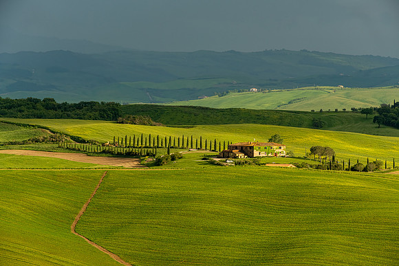 Tuscan Scene