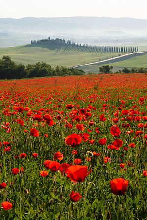 Castiglione d'Orcia III