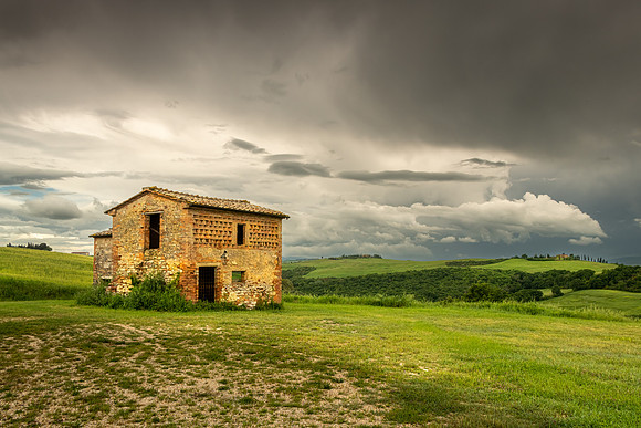 Montalcino Ruin III