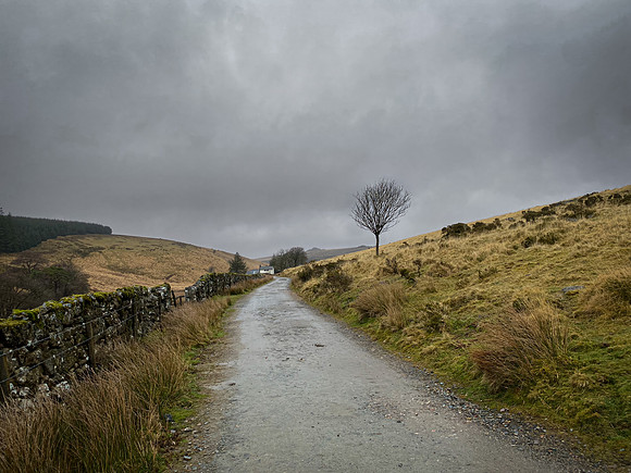 Lone Tree, Two Bridges