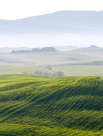 Tuscan Hills