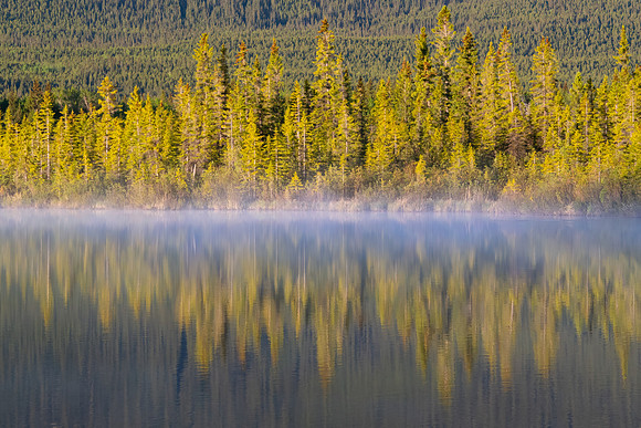 Vermillion Lakes V, Banff NP