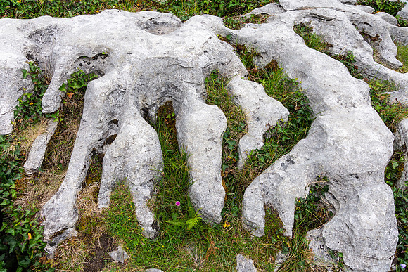 The Burren
