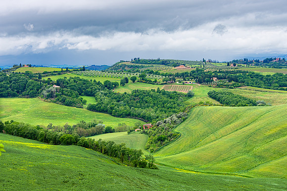 Asciano