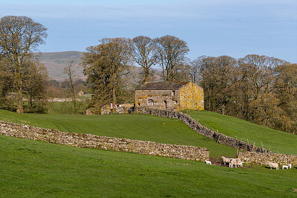 Wensleydale