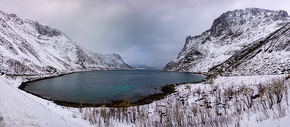 Fjordgard Panorama, Senja