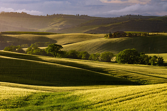 Light on the Land II