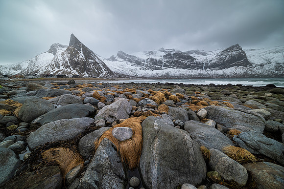 Ersfjord Beach I, Senja