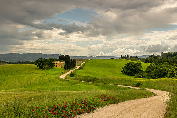 Road to Montalcino